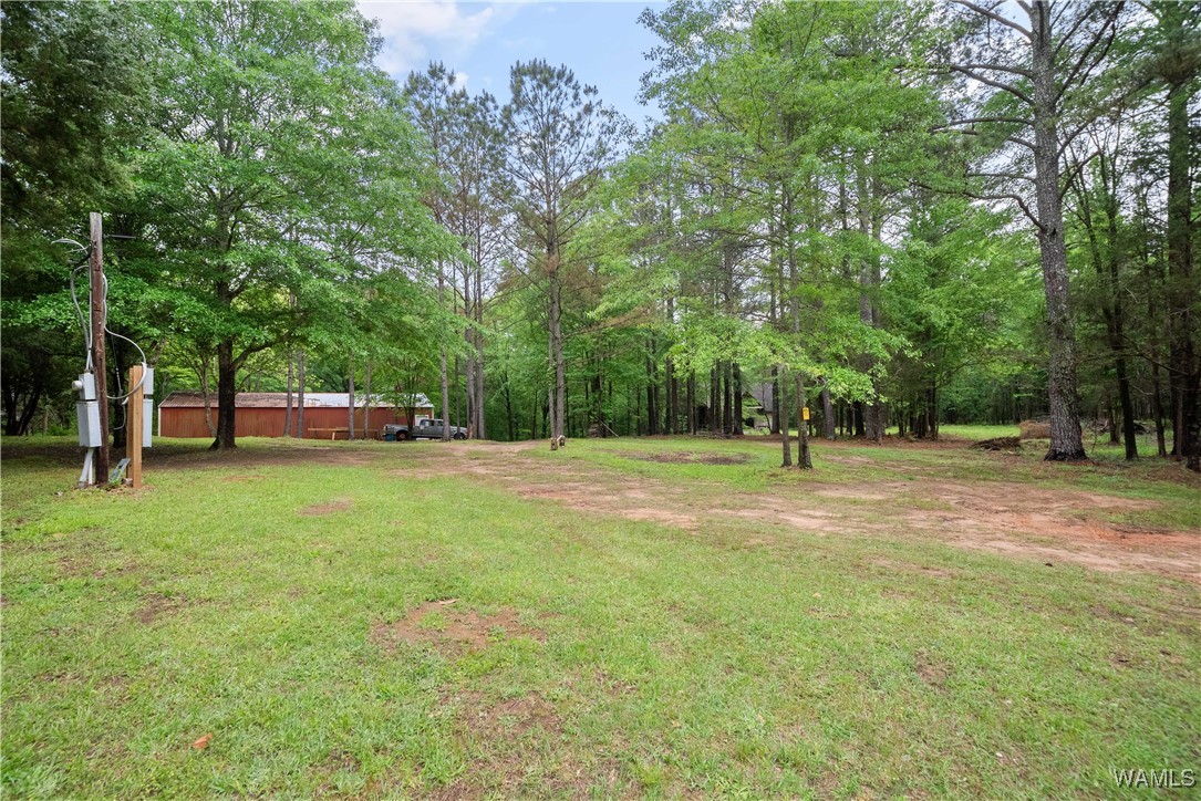 17719 Highway 43, North Port, Alabama image 16