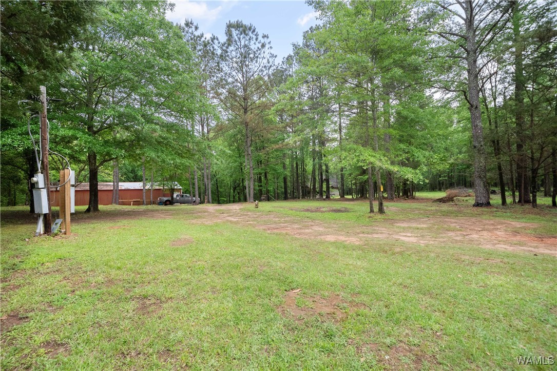 17719 Highway 43, North Port, Alabama image 41