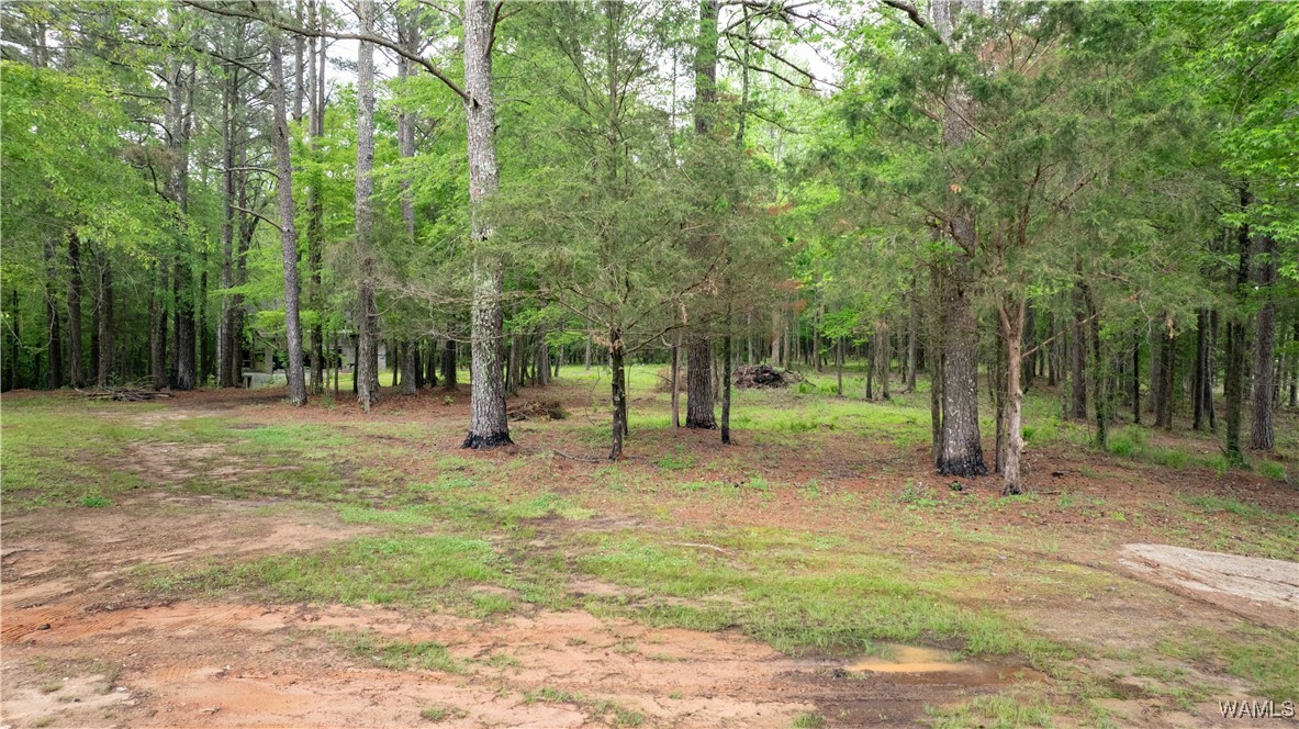 17719 Highway 43, North Port, Alabama image 6
