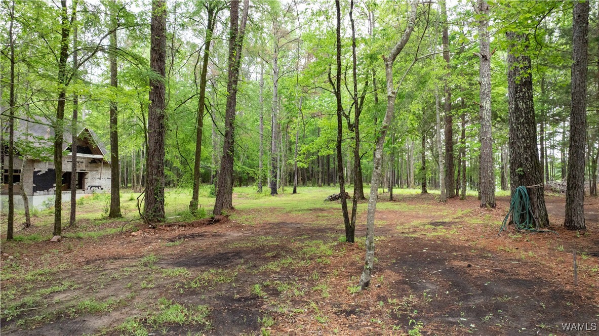 17719 Highway 43, North Port, Alabama image 15