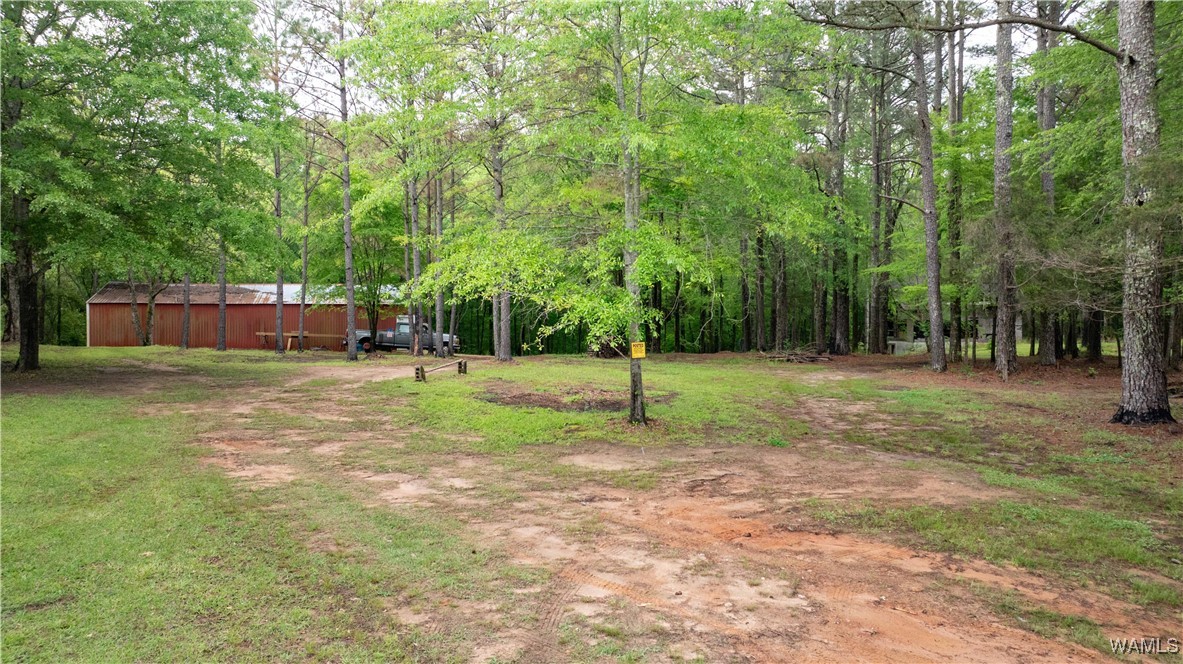 17719 Highway 43, North Port, Alabama image 2
