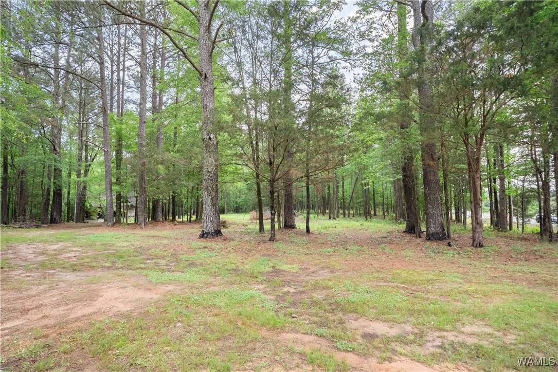 17719 Highway 43, North Port, Alabama image 40