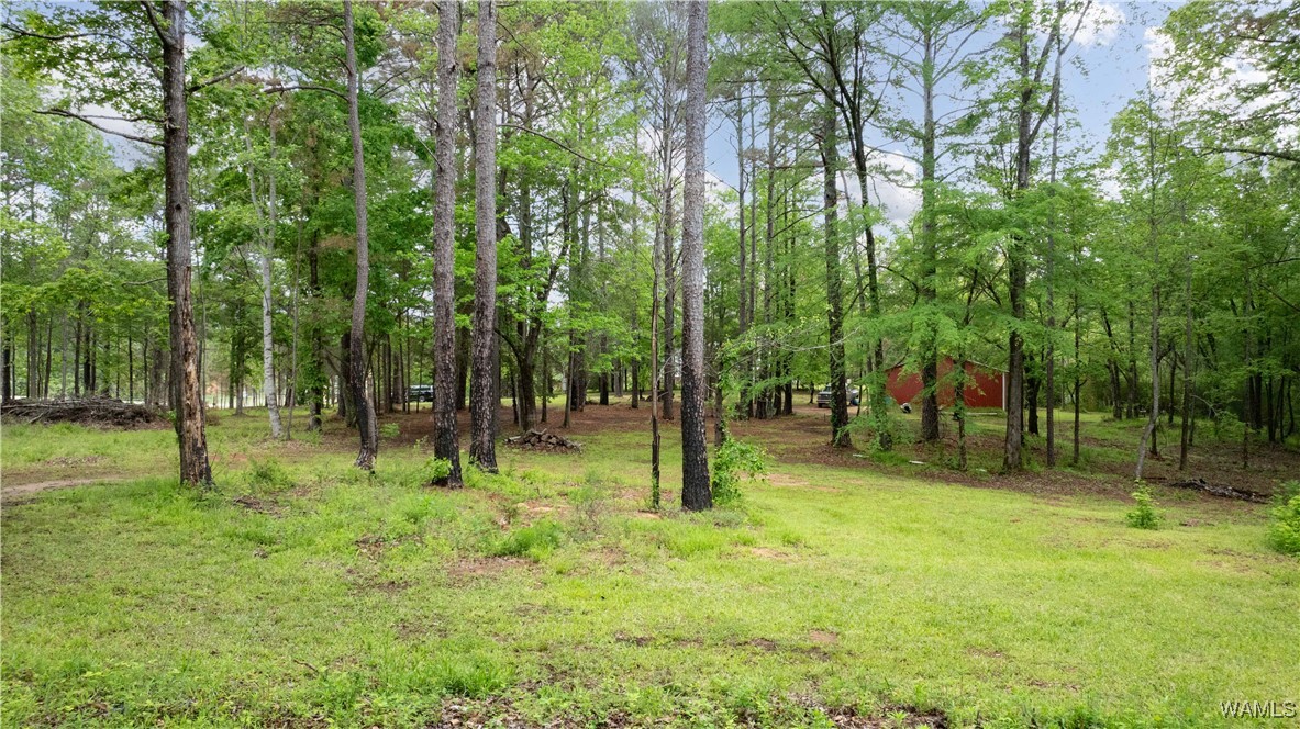 17719 Highway 43, North Port, Alabama image 20