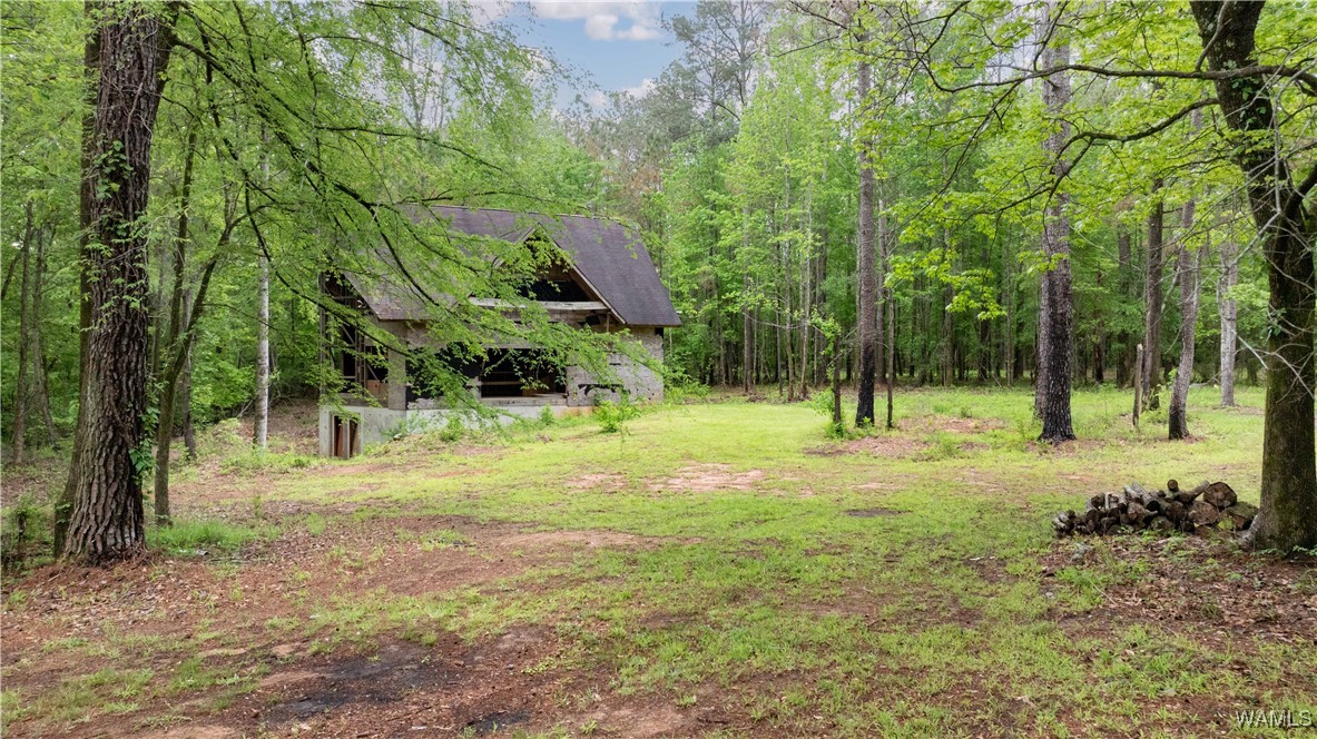 17719 Highway 43, North Port, Alabama image 22