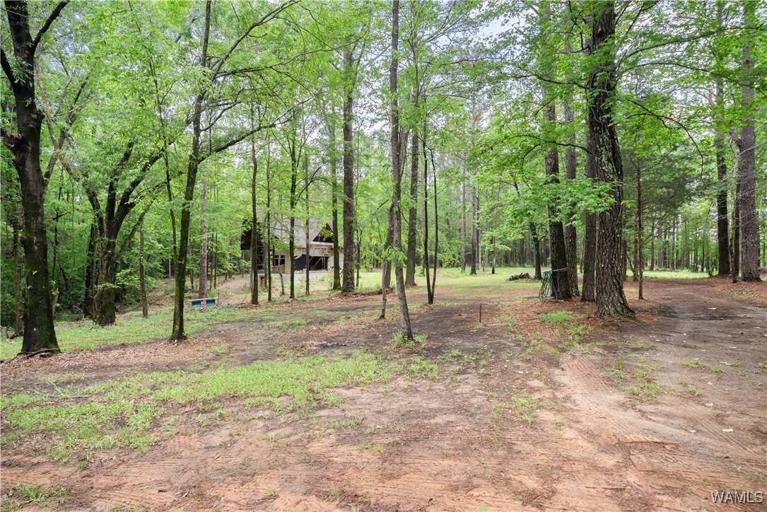 17719 Highway 43, North Port, Alabama image 39