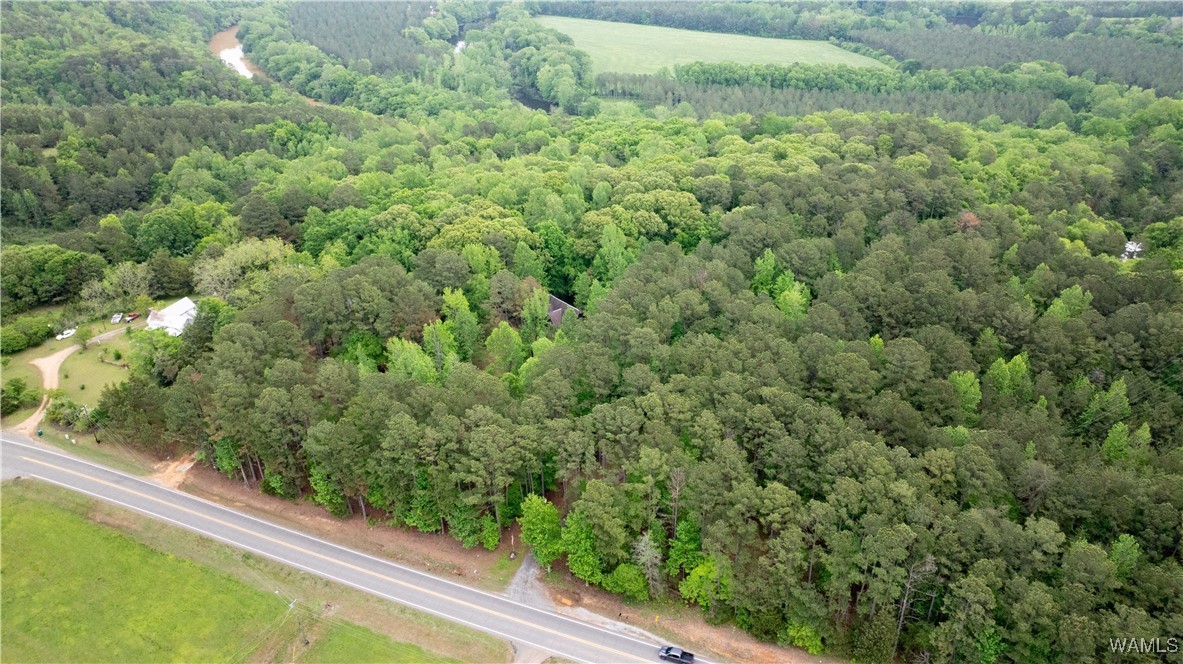17719 Highway 43, North Port, Alabama image 25