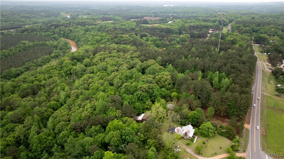 17719 Highway 43, North Port, Alabama image 36