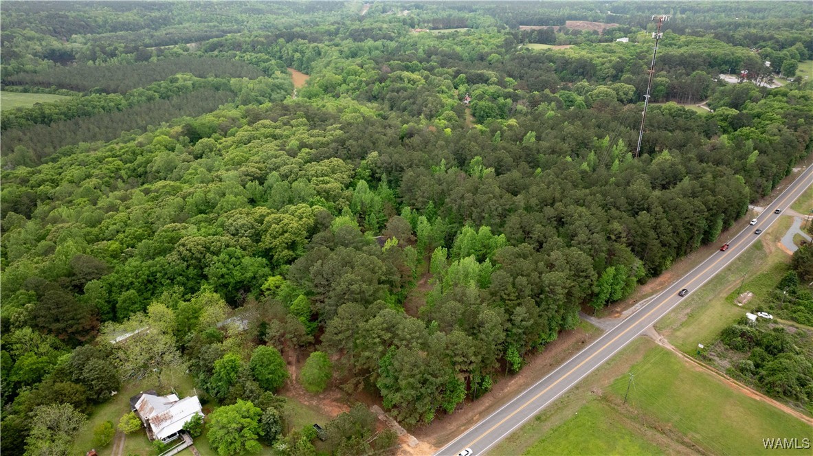 17719 Highway 43, North Port, Alabama image 37