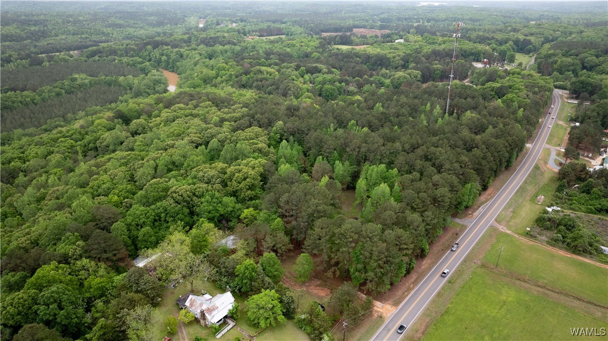 17719 Highway 43, North Port, Alabama image 23