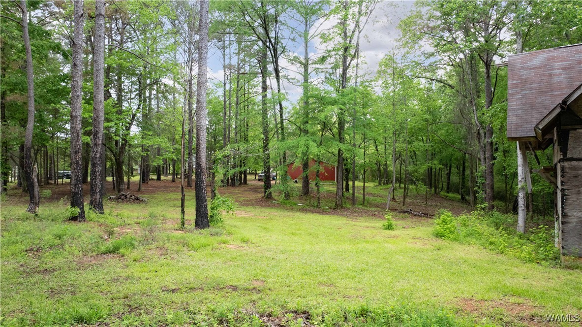17719 Highway 43, North Port, Alabama image 17