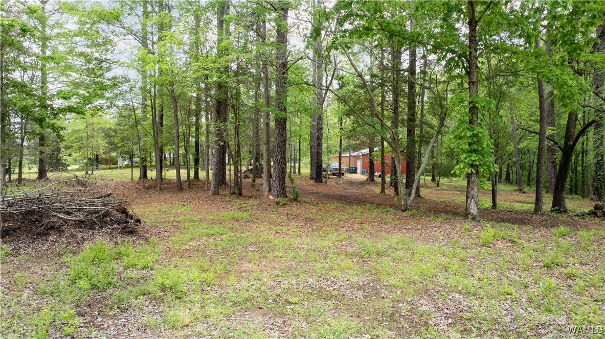 17719 Highway 43, North Port, Alabama image 19