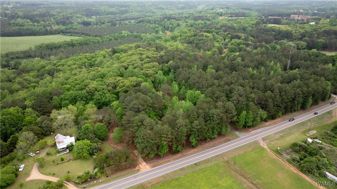 17719 Highway 43, North Port, Alabama image 38