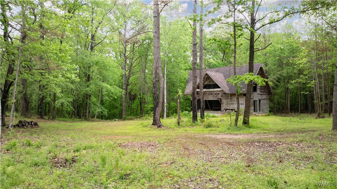 17719 Highway 43, North Port, Alabama image 3