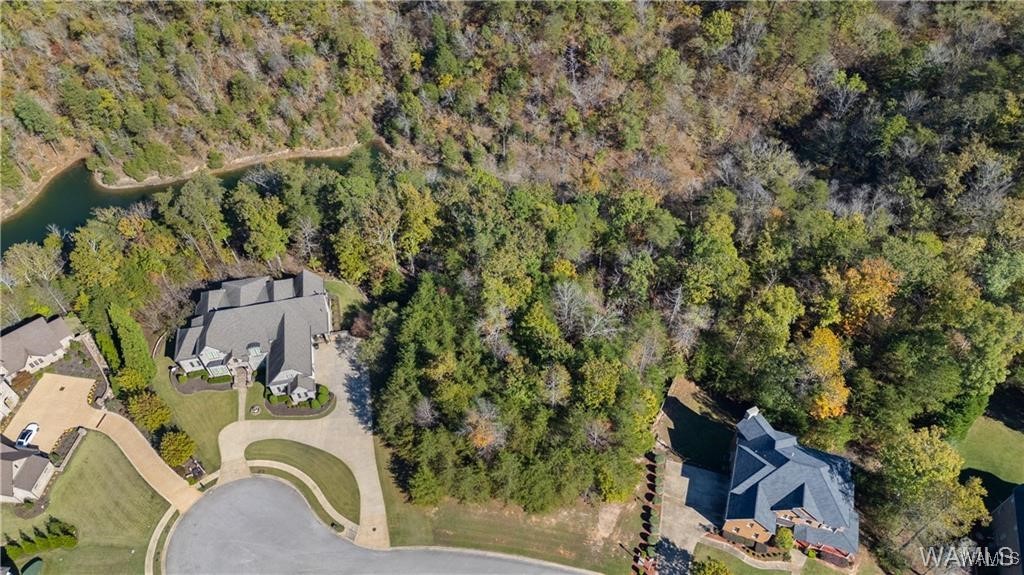 1755 Lake Haven Circle, Tuscaloosa, Alabama image 9