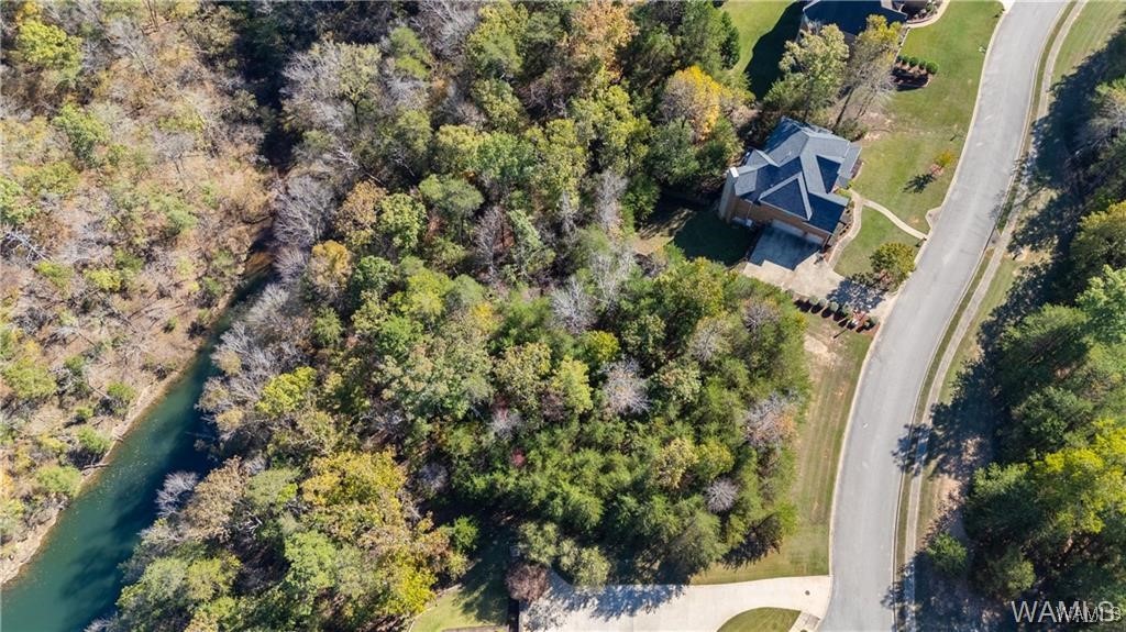 1755 Lake Haven Circle, Tuscaloosa, Alabama image 8