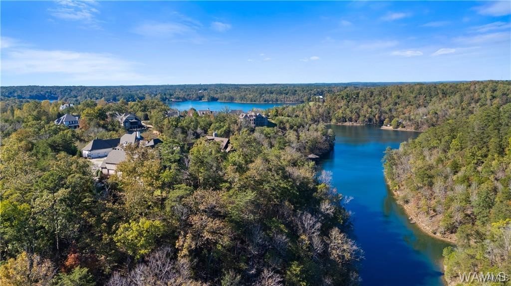 1755 Lake Haven Circle, Tuscaloosa, Alabama image 6