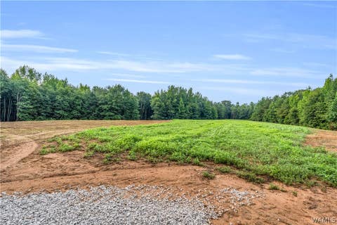 Vacant Land For Sale - 000 Bobo Dr Blvd<br/> Fayette County, Fayette, AL 35555