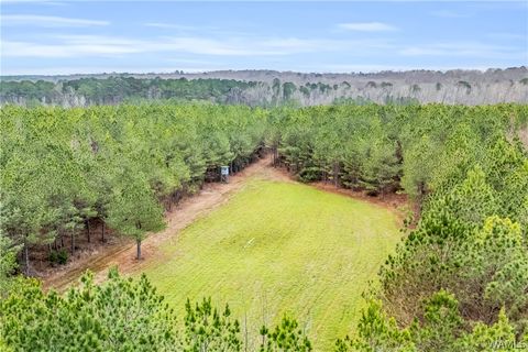 Vacant Land For Sale - 000 County Rd 12<br/> Pickens County, Carrollton, AL 35447