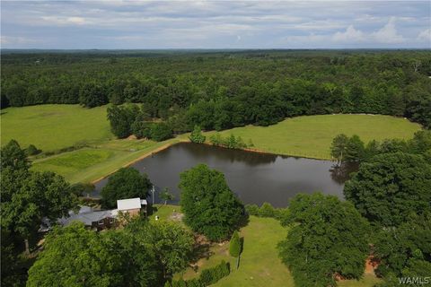 Vacant Land For Sale - 21193 Max Vintson Road<br/> North Port, AL 35475