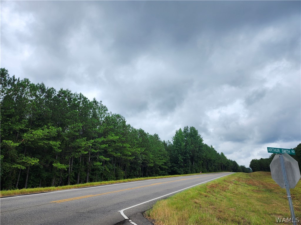 Highway 13, Fayette, Alabama image 6