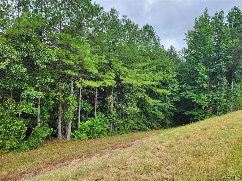 Highway 13, Fayette, Alabama image 4