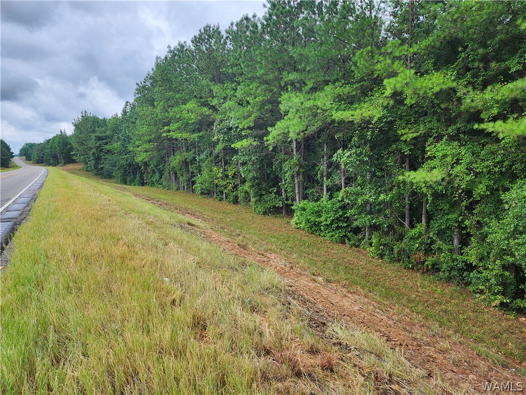 Highway 13, Fayette, Alabama image 2