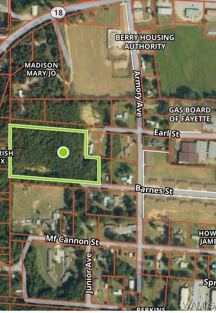 00 Earl Street, Berry, Alabama image 1
