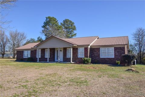 Homes For Sale - 11441 Pat Mcgee Dr Dr<br/> Cottondale, AL 35453