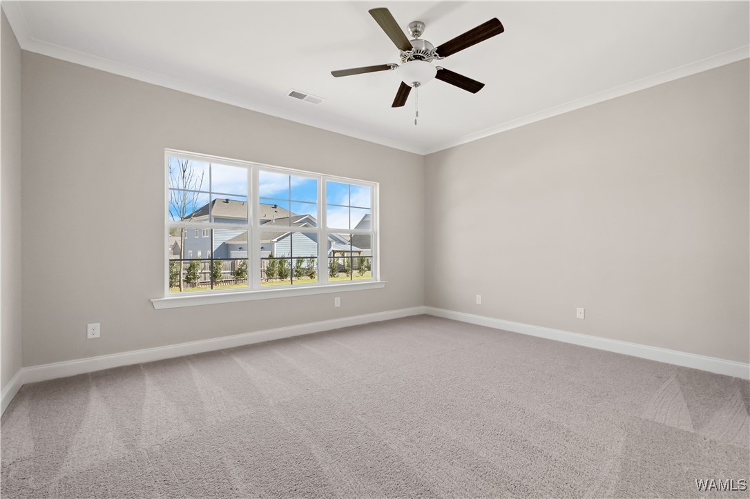 9021 Saxon Street, Tuscaloosa, Alabama image 23