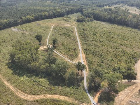 Vacant Land For Sale - LOT 12 County Rd 21<br/> Hale County, Moundville, AL 35474