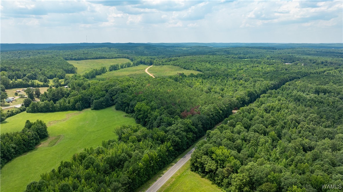 Lot 2 Highway 171, Fayette, Alabama image 3