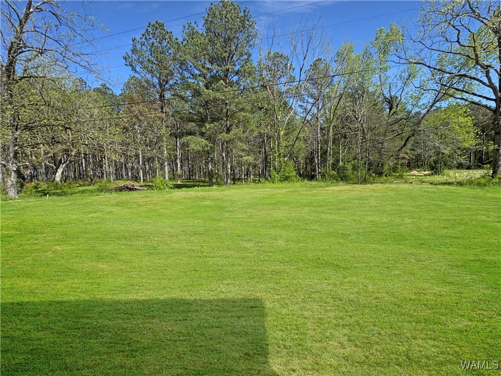 13660 J. C. Gilliam Road, Berry, Alabama image 12