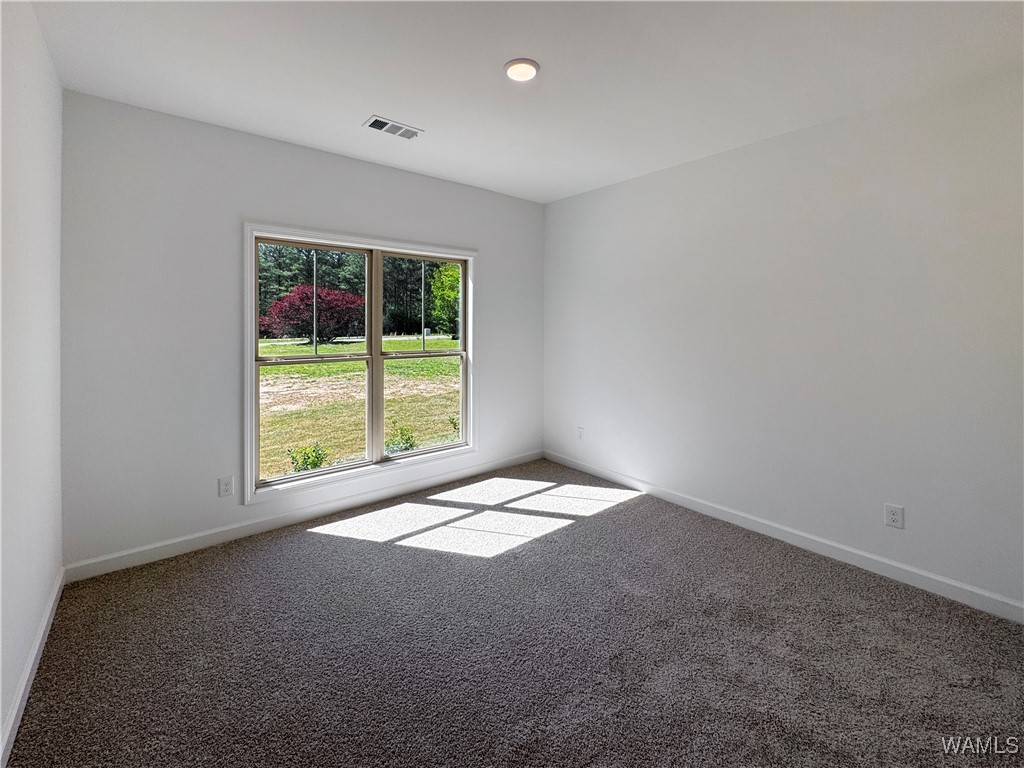 13660 J. C. Gilliam Road, Berry, Alabama image 28