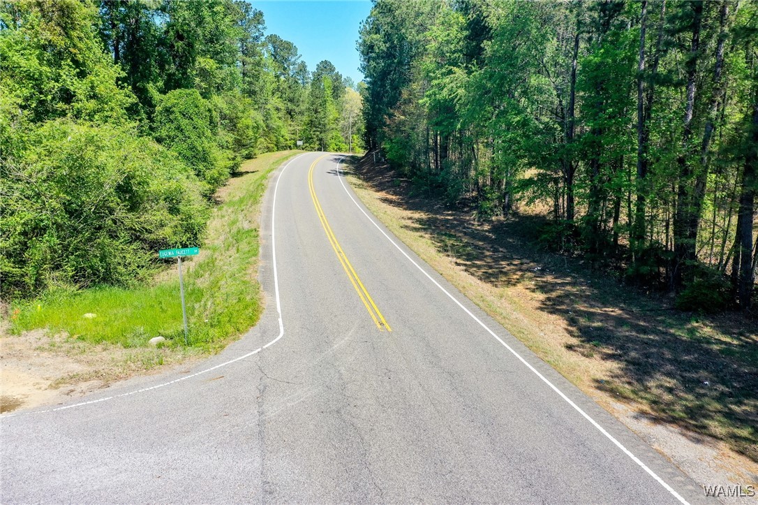Al-171, North Port, Alabama image 5
