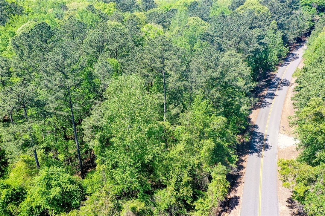 Al-171, North Port, Alabama image 6