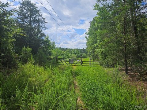 Vacant Land For Sale - 590 Serty Boyd Rd Road<br/> Bibb County, West Blocton, AL 35184