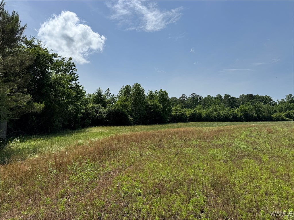 Benevola Road, Gordo, Alabama image 13