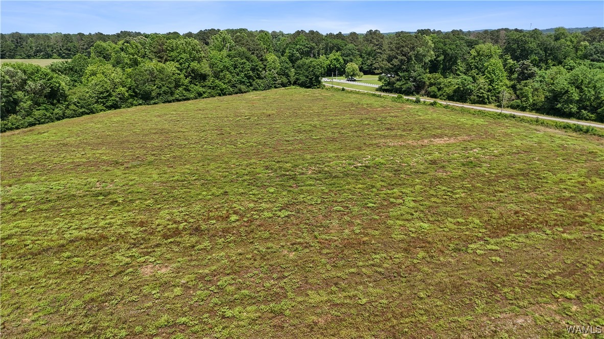 Benevola Road, Gordo, Alabama image 6