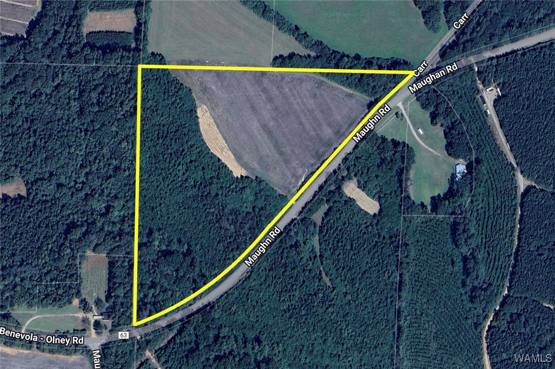 Benevola Road, Gordo, Alabama image 15