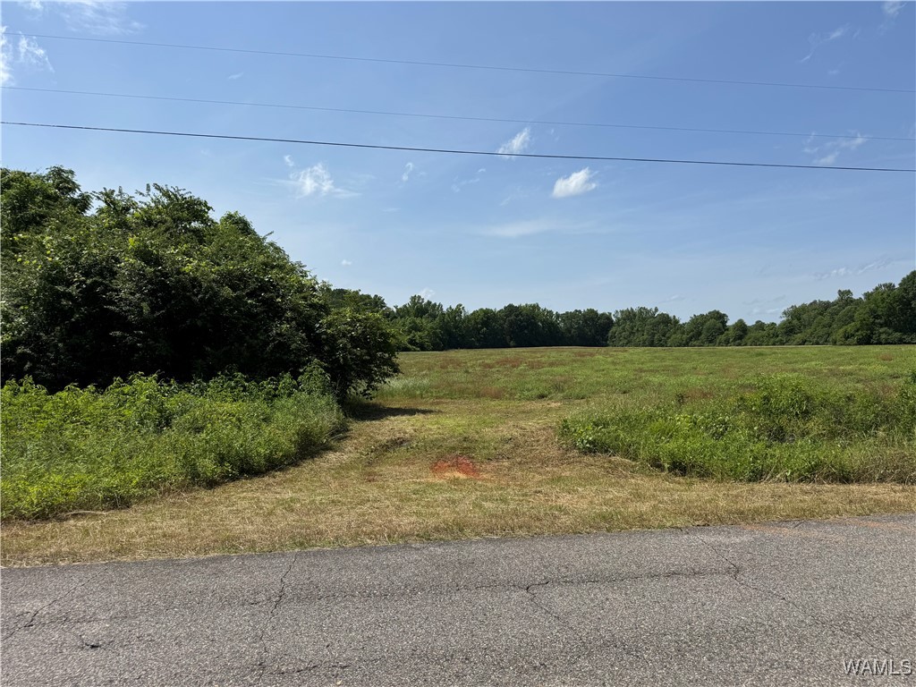 Benevola Road, Gordo, Alabama image 10