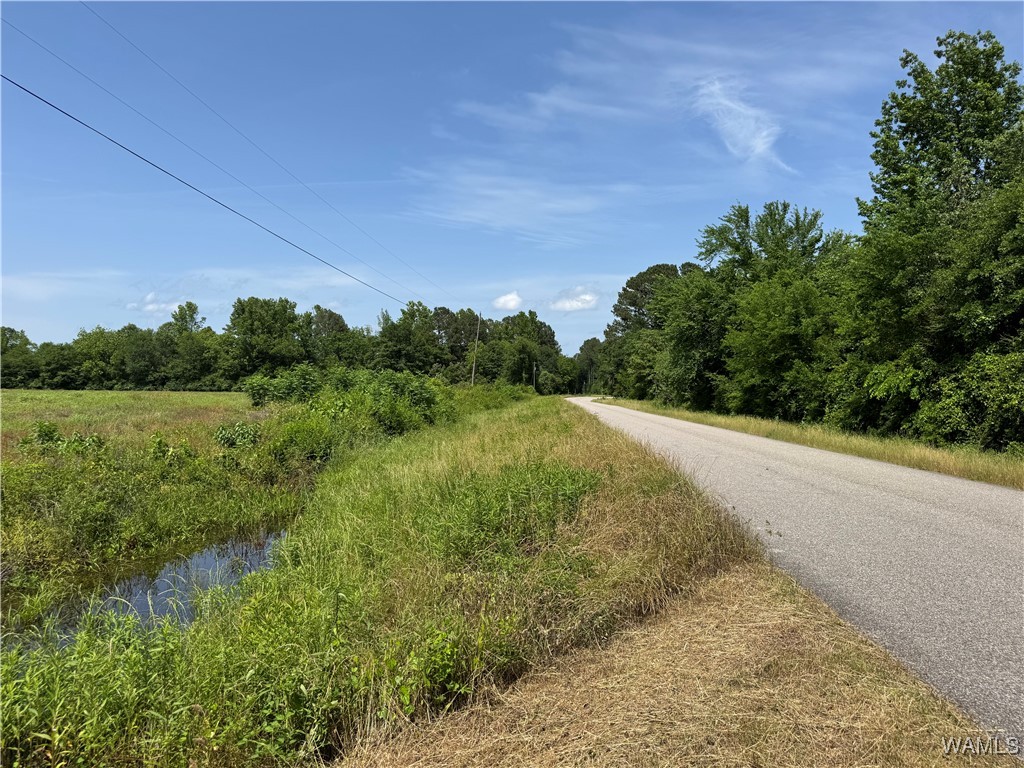 Benevola Road, Gordo, Alabama image 9