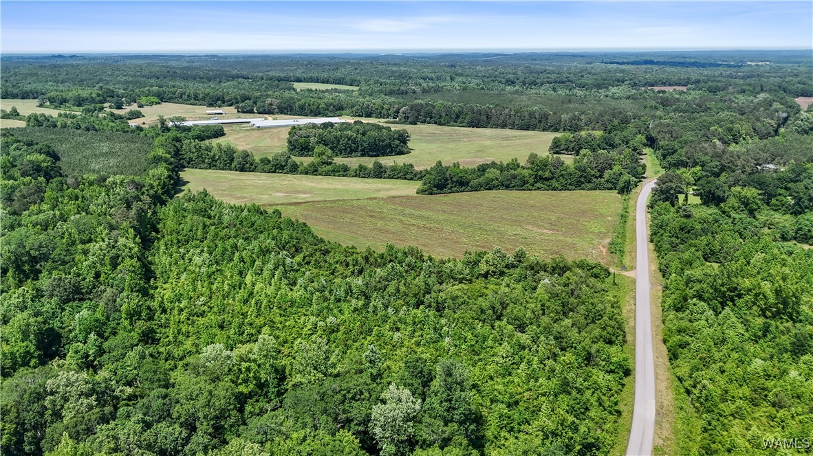 Benevola Road, Gordo, Alabama image 2