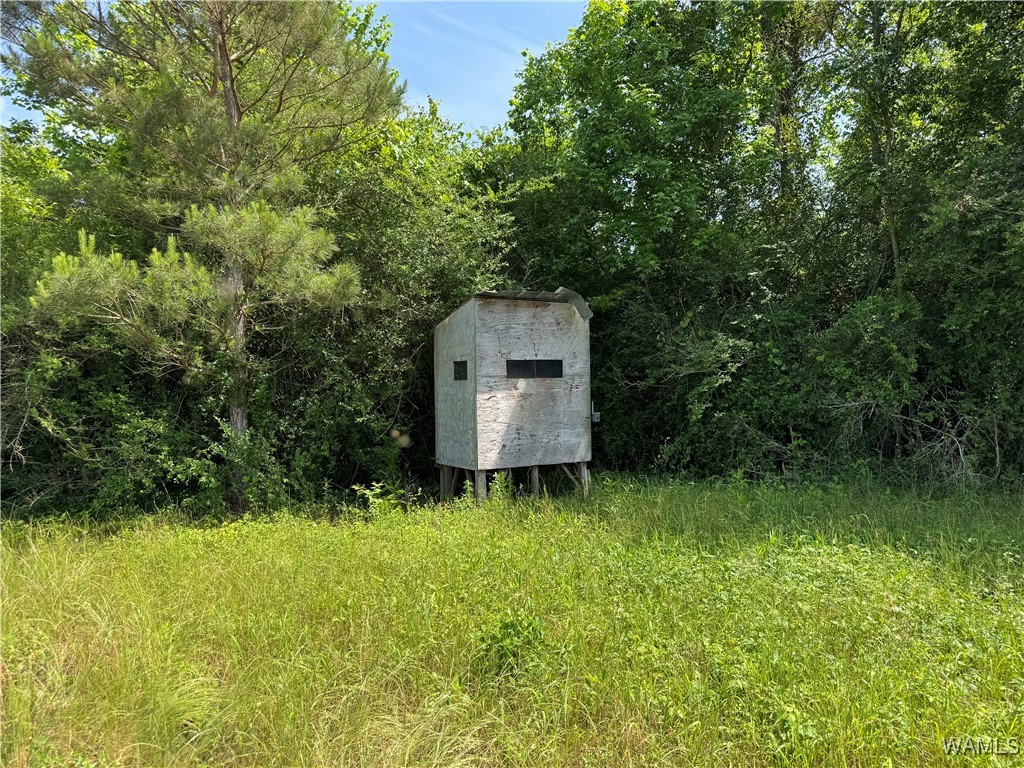 Benevola Road, Gordo, Alabama image 12