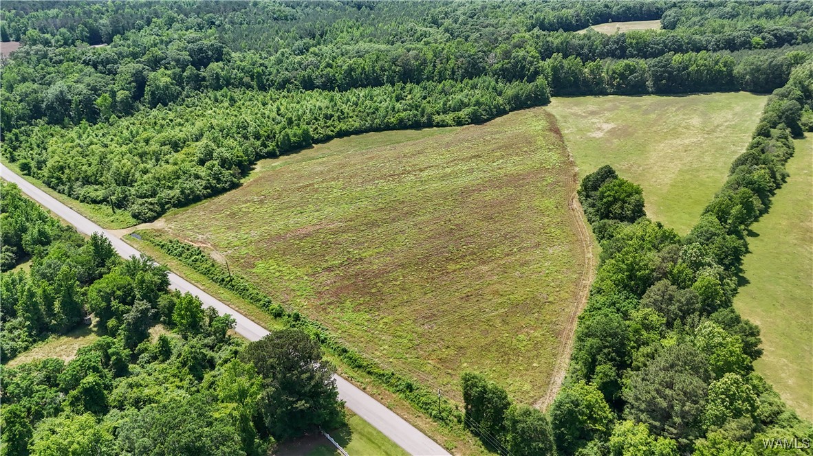 Benevola Road, Gordo, Alabama image 1