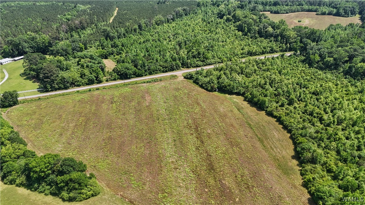Benevola Road, Gordo, Alabama image 3