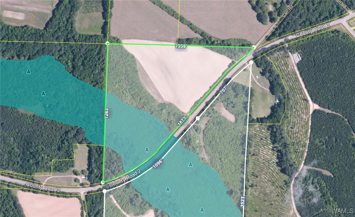 Benevola Road, Gordo, Alabama image 16