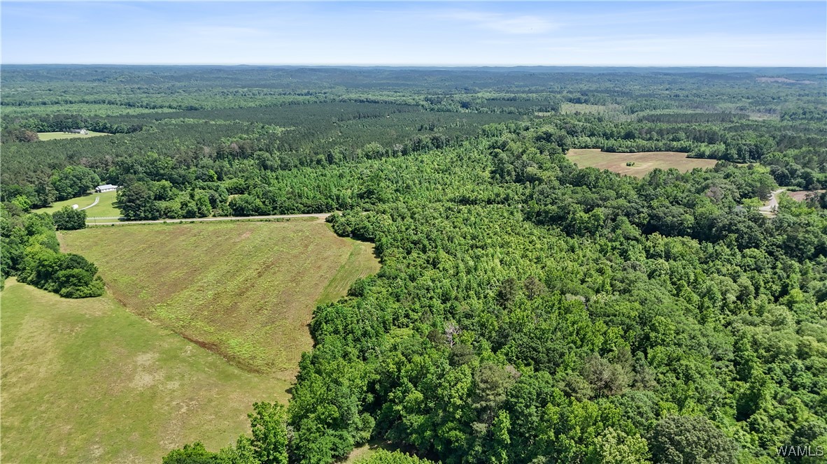 Benevola Road, Gordo, Alabama image 4