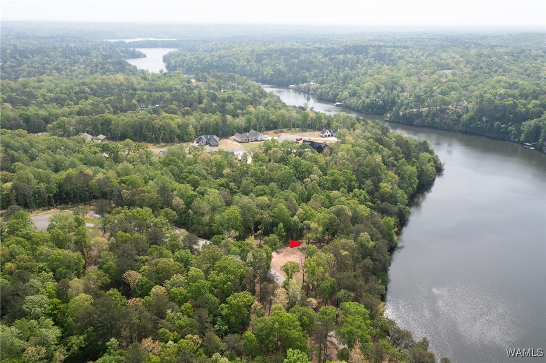 14201 Cliff Drive, North Port, Alabama image 13