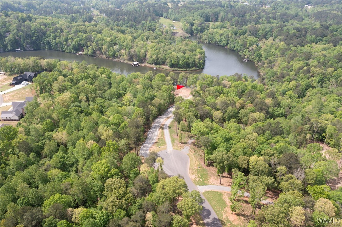 14201 Cliff Drive, North Port, Alabama image 16