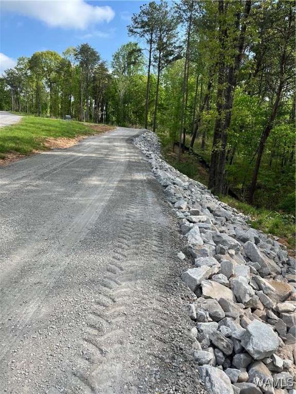 14201 Cliff Drive, North Port, Alabama image 20